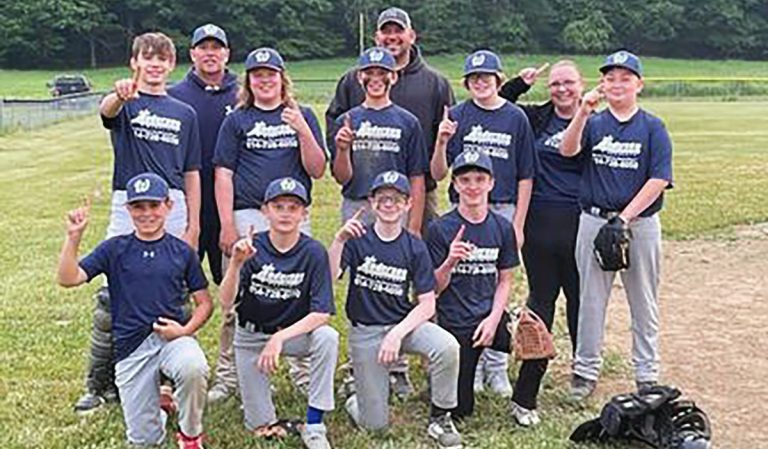 Little League: John Anderson Construction Completes Undefeated Season; A&B Heating Tops Allegheny Prints; Dahlstrom Roll Foam Edges Superior Tire
